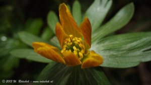© 2013 W. Rotschek