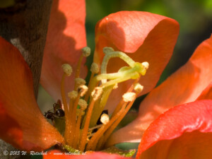 © 2013 W. Rotschek