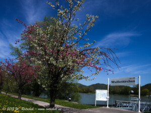 © 2013 W. Rotschek