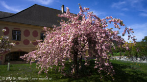© 2013 W. Rotschek