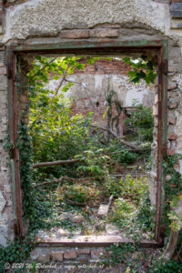 © 2021 W. Rotschek