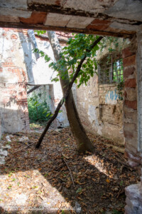 © 2021 W. Rotschek