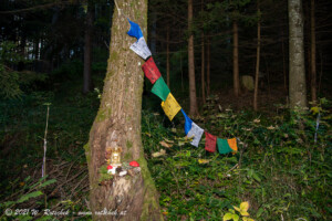 © 2021 W. Rotschek