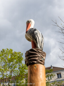 © 2022 W. Rotschek