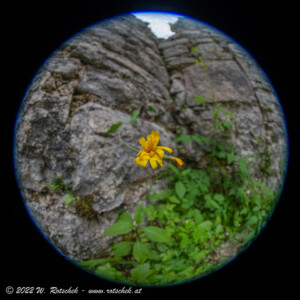 © 2022 W. Rotschek