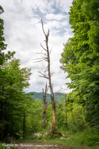 © 2022 W. Rotschek