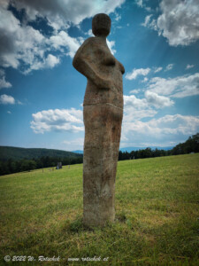 © 2022 W. Rotschek