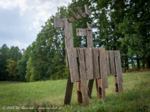 © 2022 W. Rotschek