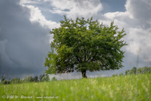 © 2022 W. Rotschek