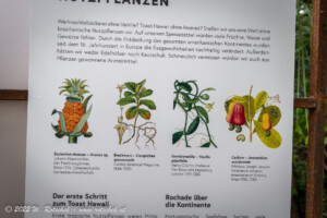 © 2022 W. Rotschek