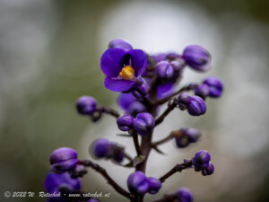 © 2022 W. Rotschek