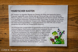 © 2022 W. Rotschek