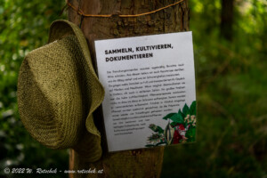 © 2022 W. Rotschek