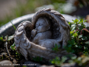 © 2022 W. Rotschek