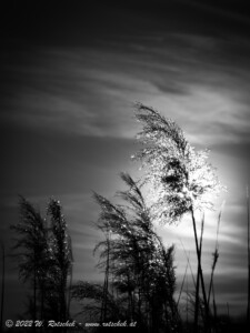 © 2022 W. Rotschek