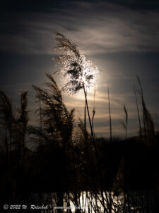© 2022 W. Rotschek