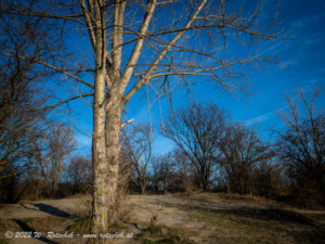 © 2022 W. Rotschek