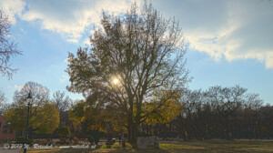 © 2013 W. Rotschek